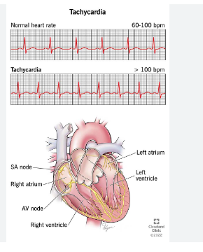 Patient’s Findings visual